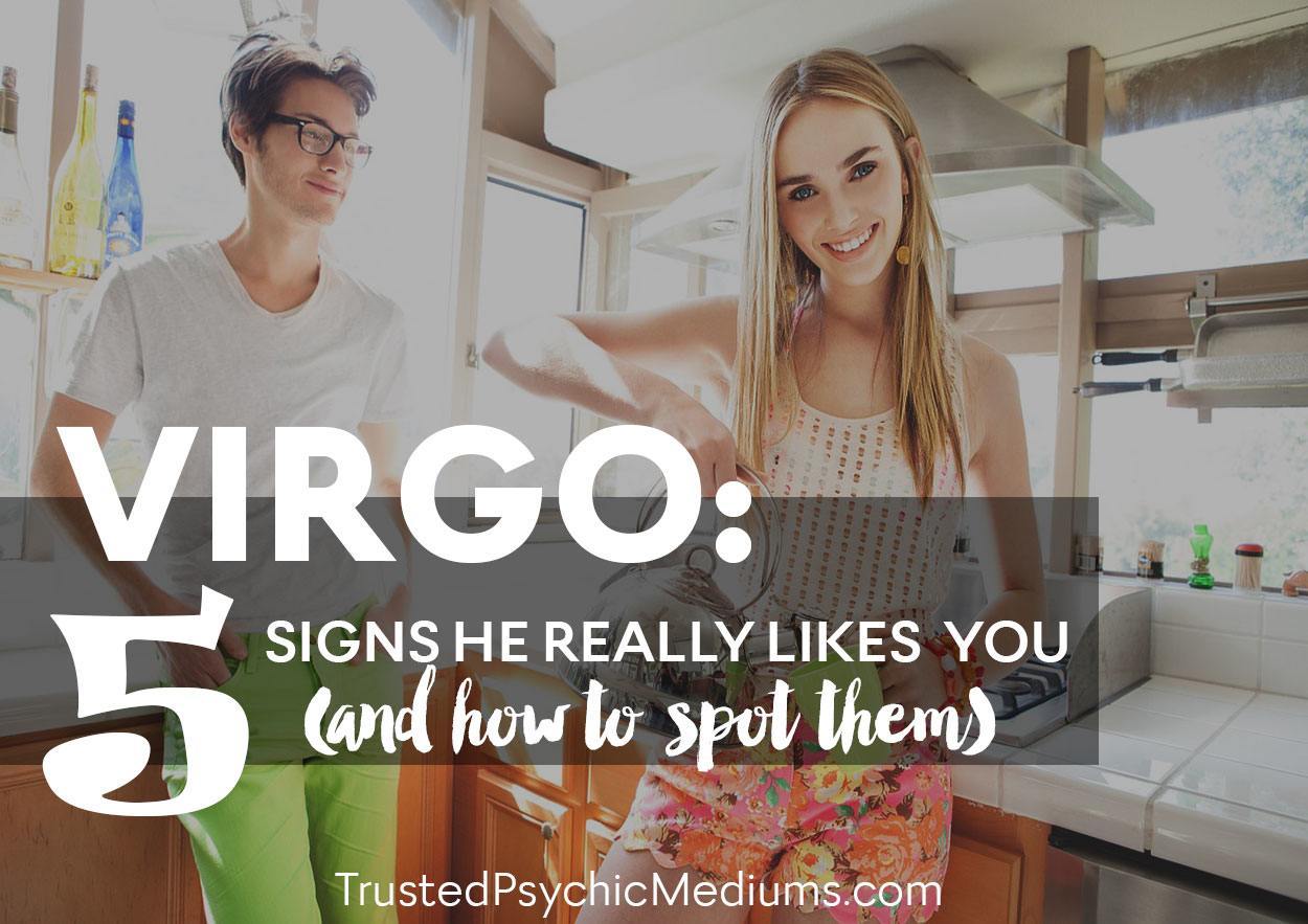 VIRGO-Spot-them
