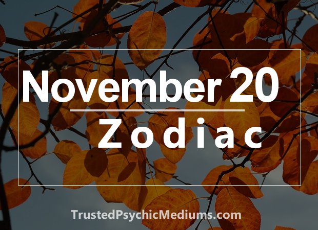 November 20 Zodiac - Complete Birthday Horoscope & Personality Profile