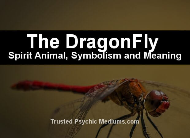 dragonfly meaning