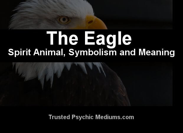 eagle meaning