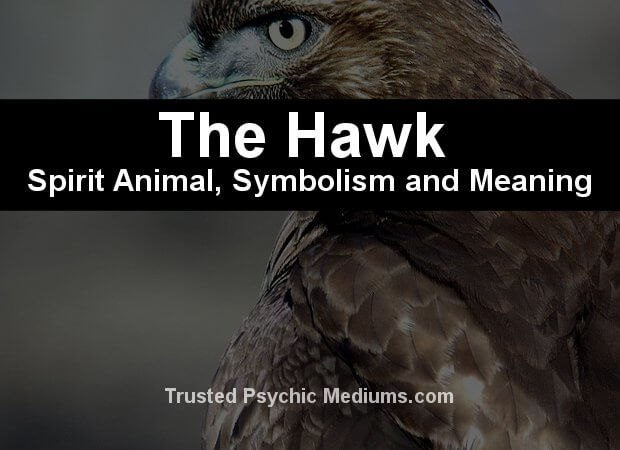 hawk symbolism