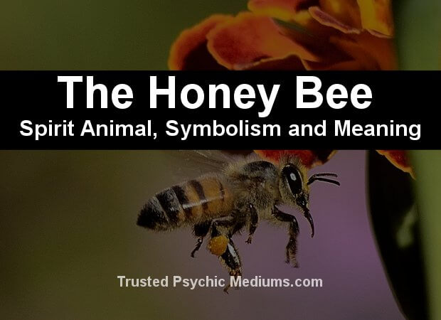 honey bee symbolism