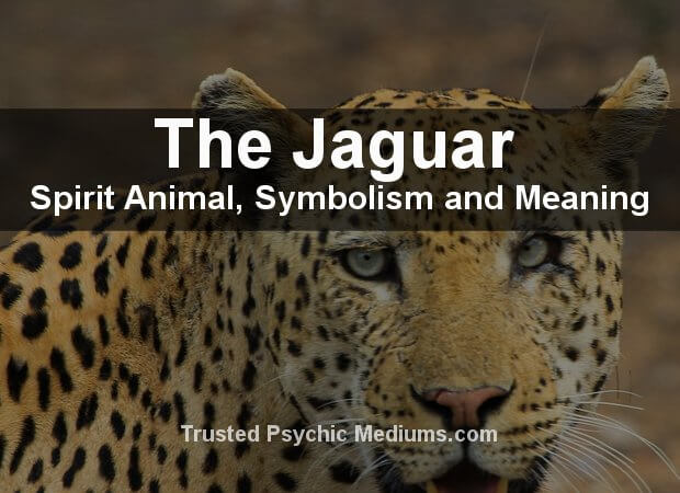 The Black Jaguar Spirit Animal - A Complete Guide.