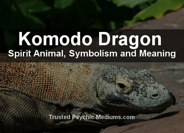 Komodo-Dragon Spirit Animal