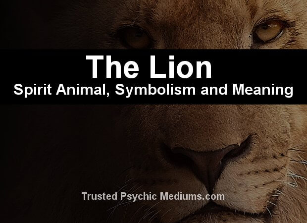 lion spirit animal meaning 