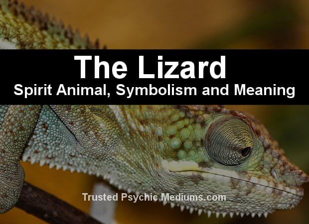 lizard symbolism