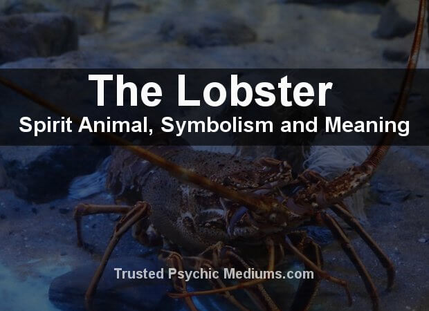 Lobster Spirit Animal