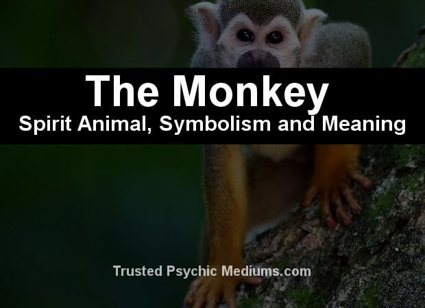 monkey symbolism
