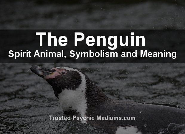 Penguin Spirit Animal