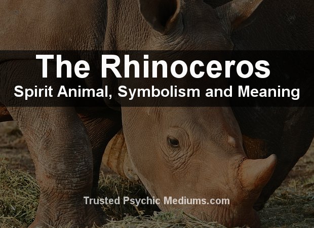 Rhinoceros Spirit Animal
