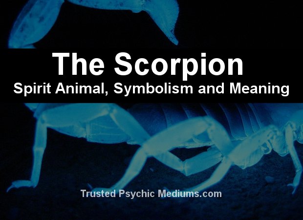 meaning of seeing a scorpion