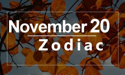 november 20 astrology sign