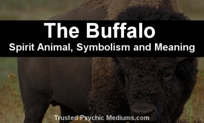 The Buffalo Spirit Animal - A Complete Guide To Meaning And Symbolism.