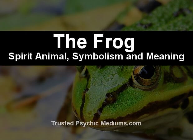 The Frog Spirit Animal