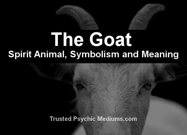 The Goat Spirit Animal