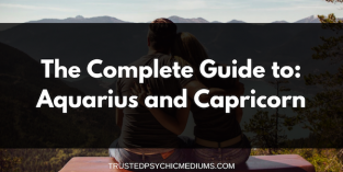 The Complete Guide To Aquarius And Capricorn 313x157 