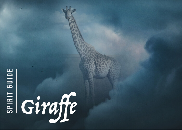 The Giraffe Spirit Animal