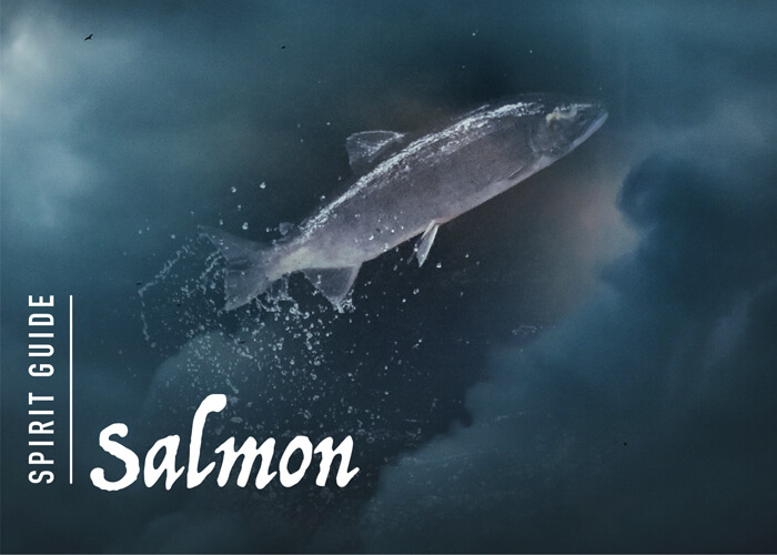 The Salmon Spirit Animal