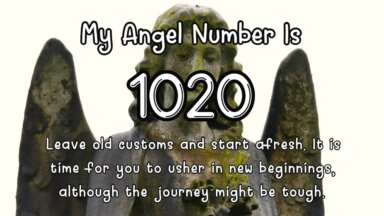 Angel Number 513 is a true power number. Discover why…