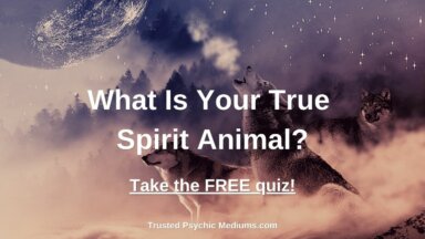 Spirit Animal Quiz | Trusted Psychic Mediums