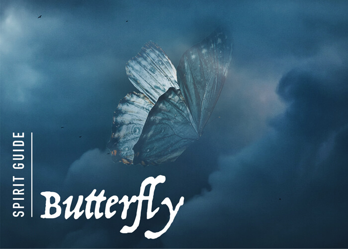 The Butterfly Spirit Animal
