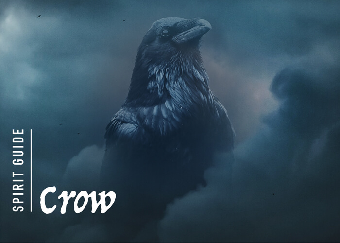 The Crow Spirit Animal - A Complete Guide to Meaning and Symbolism.