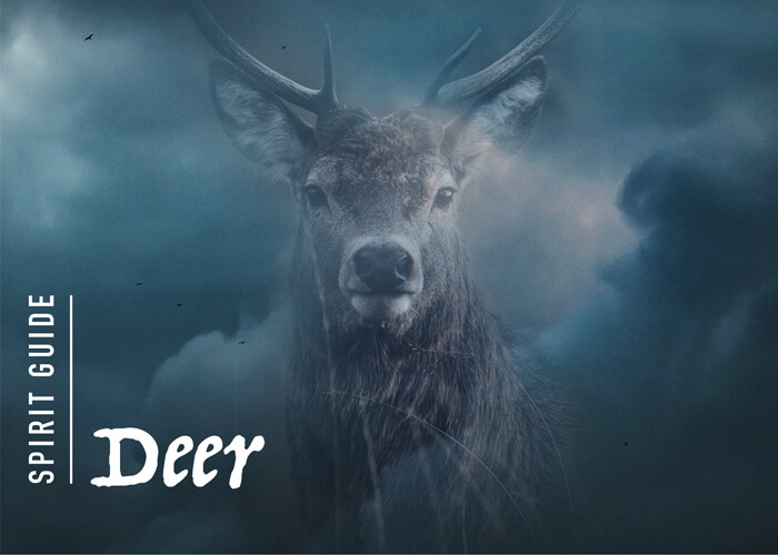 The Deer Spirit Animal