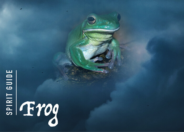 The Frog Spirit Animal - A Complete Guide to Meaning and Symbolism.