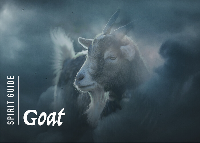 The Goat Spirit Animal - A Complete Guide to Meaning and Symbolism.