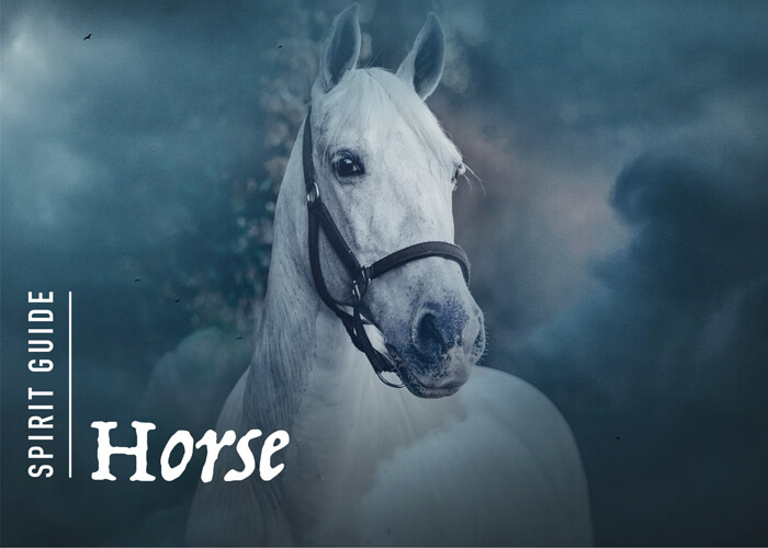 The Horse Spirit Animal - A Complete Guide to Meaning and Symbolism.