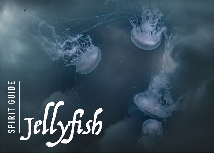 The Jellyfish Spirit Animal
