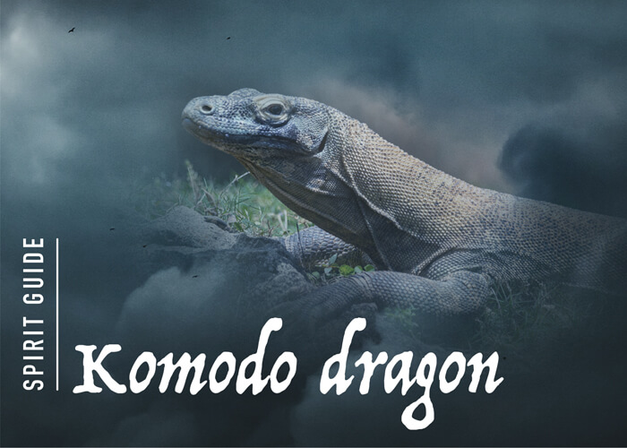 The Komodo-Dragon Spirit Animal