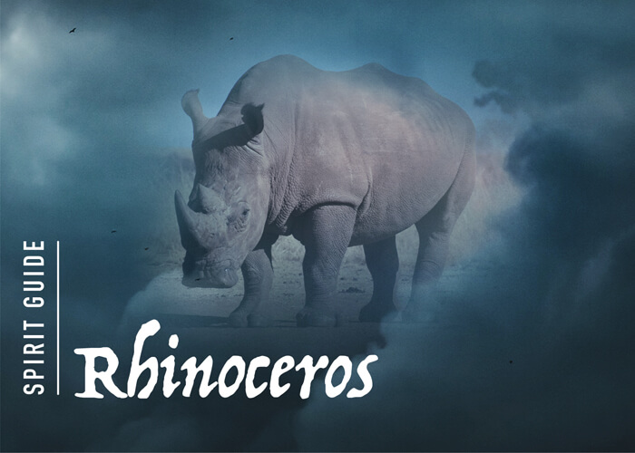 The Rhinoceros Spirit Animal