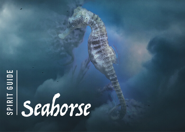 The Seahorse Spirit Animal