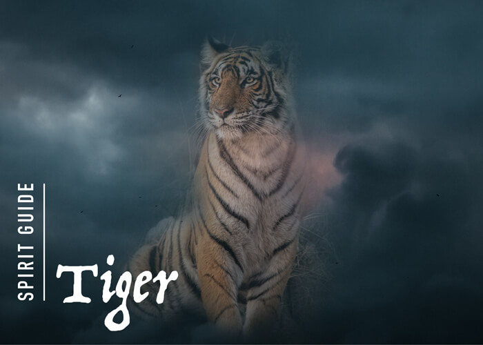 The Tiger Spirit Animal - A Complete Guide to Meaning and Symbolism.
