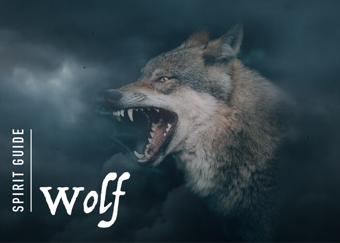The Wolf Spirit Animal