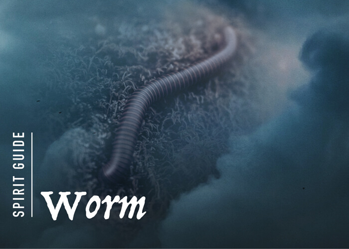 The Worm Spirit Animal