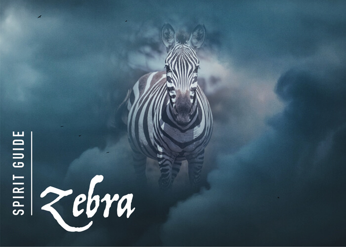 The Zebra Spirit Animal