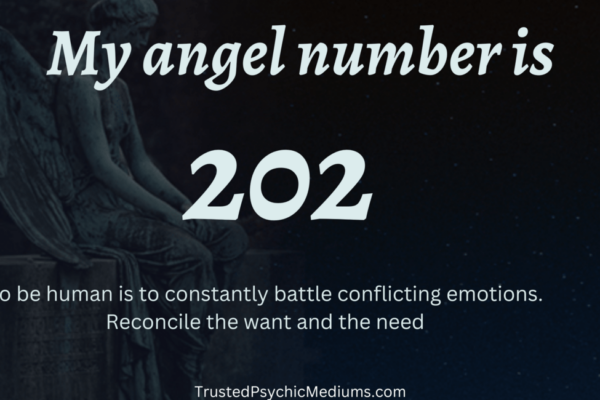angel number 202