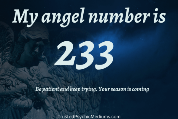 angel number 233
