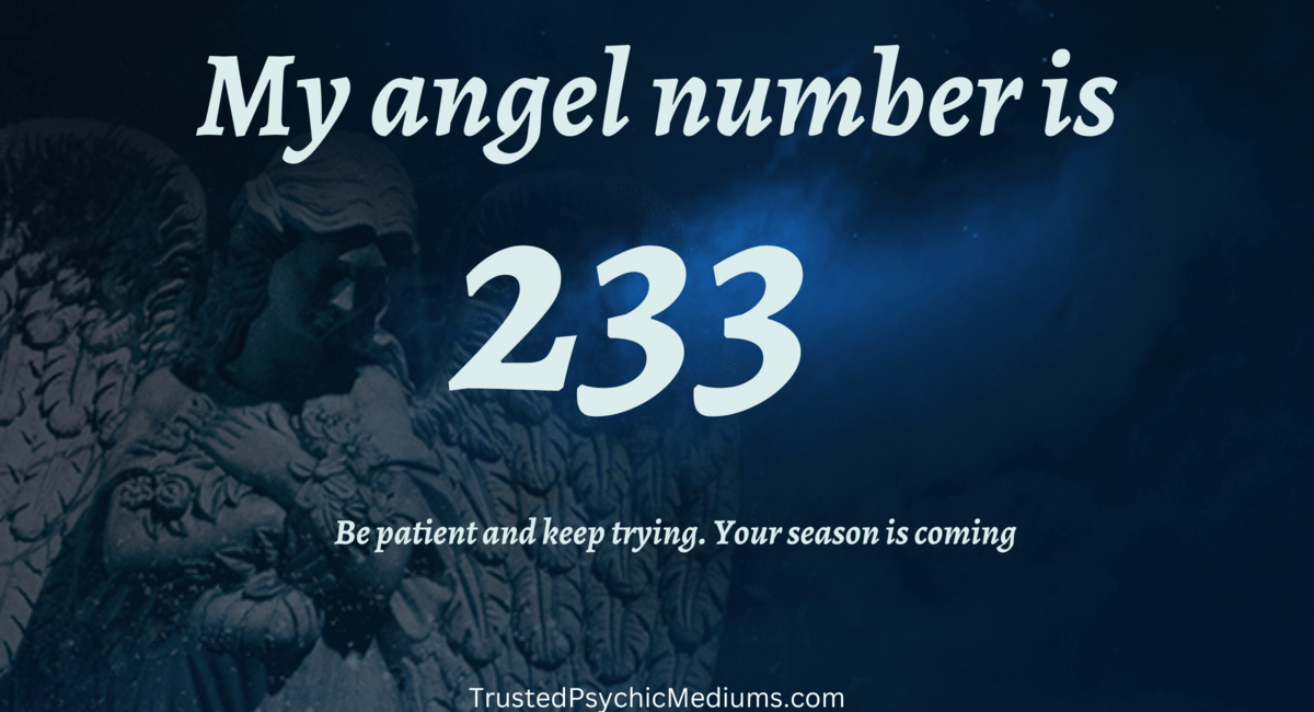 angel number 233
